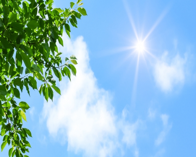 外壁塗装の「耐候性」とは？重要性、種類、選び方まで徹底解説