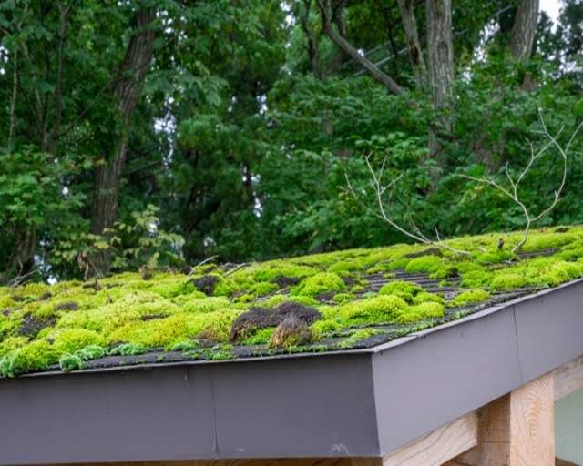 アスファルトシングル屋根の塗装は必要？寿命を延ばすための塗り替えと選び方