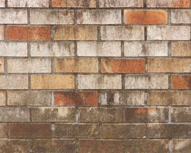 外壁の黒ずみ、放置は危険！その原因と対策を徹底解説