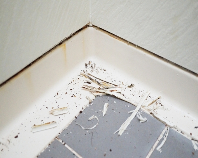 コーキングのカビ対策！浴室を徹底除去する方法と予防策