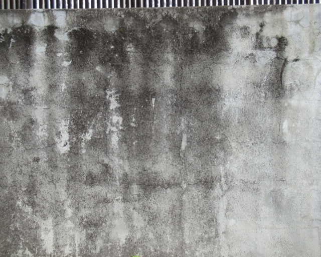 外壁のすす汚れをスッキリ落とす！簡単掃除方法と注意点