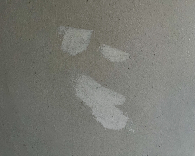 【大阪】外壁塗装の下塗り塗料の全て｜種類・役割から費用、失敗しない選び方